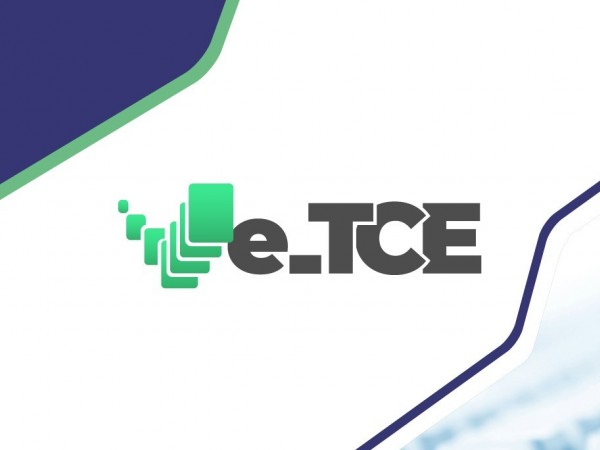 dti_publica_novo_manual_do_e_tce_55878_1_pt_024049